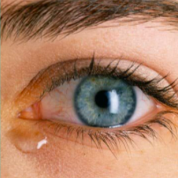 Obstrução de Vias Lacrimais